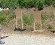 The Quest for Master Class: First Shots Downrange