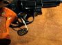 On Gun Stories: Smith & Wesson Model 29