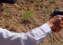Wild Bunch and the 1911 (Video)