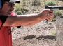 New Video: Rob Leatham Training with the Action Target Dueling Tree