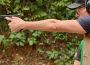 On Shooting Gallery: IDPA Crash Test Dummy