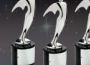 S.W.A.T. Magazine TV wins a People’s Telly!