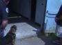 On S.W.A.T. Magazine TV: Glen Jackson K9 Master Trainer