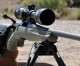 Reviewing The Ruger American Predator Rifle