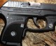 Texas Governor Uses Crimson Trace Laser To Protect Pet Texas Governor Uses Crimson Trace Laser To Protect Pet