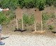 The Quest for Master Class: First Shots Downrange The Quest for Master Class: First Shots Downrange