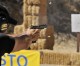Glock’s Dave Sevigny Wins Limited, Crowned Steel Master Glock’s Dave Sevigny Wins Limited, Crowned Steel Master