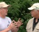 DRTV Profile: Bruce Gray DRTV Profile: Bruce Gray