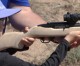 DRTV Weekly: The Ruger Rimfire Series DRTV Weekly: The Ruger Rimfire Series