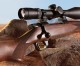 Weatherby’s Vanguard Series 2 Eurosport Rifle is Friends of NRA’s 2013 Gun of the Year