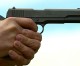 On Shooting Gallery: 1911 & Wild Bunch On Shooting Gallery: 1911 & Wild Bunch