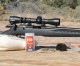 Reviewing The Ruger American Rimfire .22 Magnum Reviewing The Ruger American Rimfire .22 Magnum