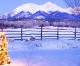 Down Range Radio #347: Christmas And Being Tolerant Down Range Radio #347: Christmas And Being Tolerant