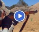 Gun Stories Online: The M1 Garand