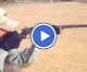 Gun Stories Online: The Classic American Doubles Gun Stories Online: The Classic American Doubles