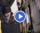 The Best Defense Tips: The Default Carry Method The Best Defense Tips: The Default Carry Method