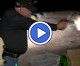 On Shooting Gallery: Midnight 3 Gun On Shooting Gallery: Midnight 3 Gun