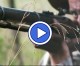 On Midway USA’s Gun Stories: The Guns Of The Confederacy On Midway USA’s Gun Stories: The Guns Of The Confederacy