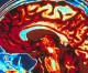 Down Range Radio #450: How The Brain Is Wired! Down Range Radio #450: How The Brain Is Wired!