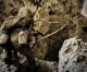 On American Rifleman TV: Men and Guns of the Pacific – Saipan On American Rifleman TV: Men and Guns of the Pacific – Saipan