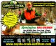 Win A Complete Swab-its Firearm Cleaning Set at Coyote Creek Outfitters Customer Appreciation Event Win A Complete Swab-its Firearm Cleaning Set at Coyote Creek Outfitters Customer Appreciation Event