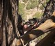 Down Range Radio #501: Ready For 2017 And Upgrading To Gun Culture 2.1 Down Range Radio #501: Ready For 2017 And Upgrading To Gun Culture 2.1