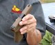 Down Range Radio #524: Special Edition Vickers Glock 19 Down Range Radio #524: Special Edition Vickers Glock 19