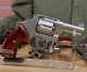 Video Podcast: Big Bore Snubbies Video Podcast: Big Bore Snubbies