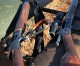 Video Podcast: Michael’s Africa Hunt – The Guns & Gear Video Podcast: Michael’s Africa Hunt – The Guns & Gear