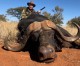 Down Range Radio #577: The Hunt Of My Life Down Range Radio #577: The Hunt Of My Life