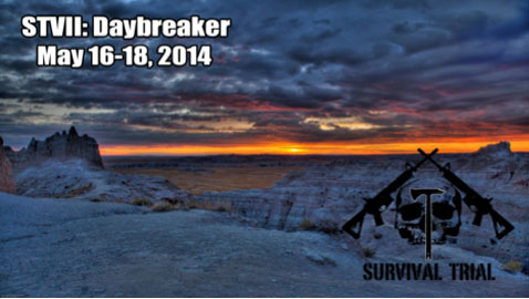 STVIIDayBreaker